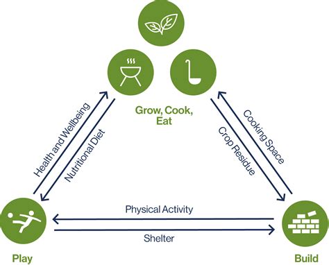 Core Curriculum Diagram IIHS Urban Fellows