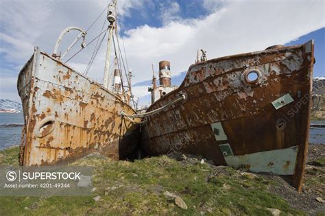 Old Whaling Ships Stranded In Abandoned Whaling Station Leith South