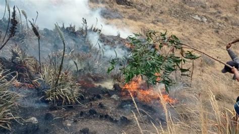 Alerta Incendio forestal afectó a la población de Áncash La Razón