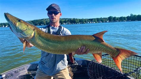 GIANT 36 Lb MUSKY Caught After 2 Day Grind Chautauqua Lake NY YouTube