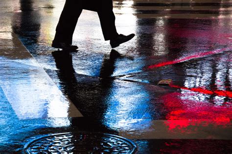 雨ならではの撮影テクニック7選！ 雨の日や雨上がりにだけ現れる“主役”を狙おう Capa Camera Web