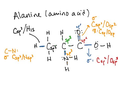 ShowMe - Orbital diagram of calcium