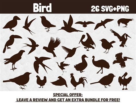 Bird Svg Bundle Svg Files For Cricut Commercial Use Svg Etsy