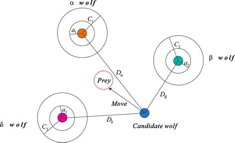 Schematic of grey wolf pack hunting | Download Scientific Diagram