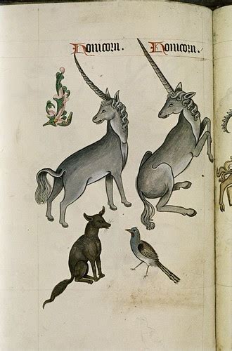 bibliodyssey  tudor pattern book