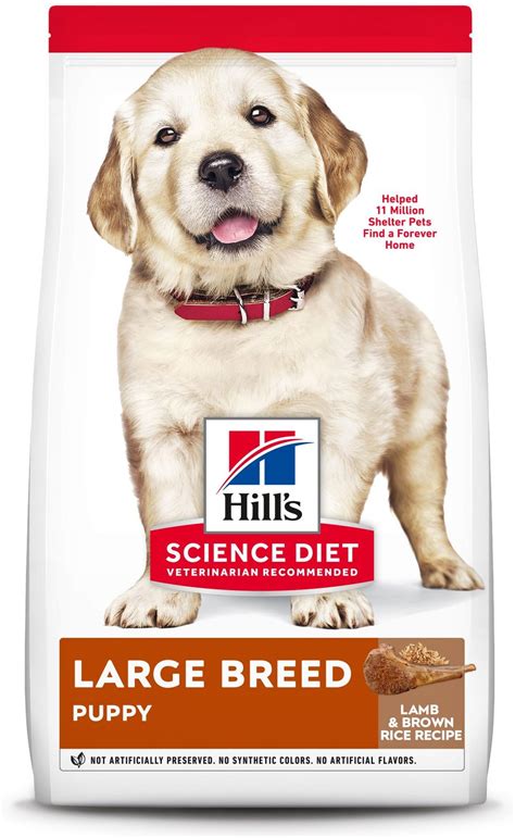 HILL'S SCIENCE DIET Puppy Large Breed Lamb Meal & Rice Recipe Dry Dog Food, 33-lb bag - Chewy.com