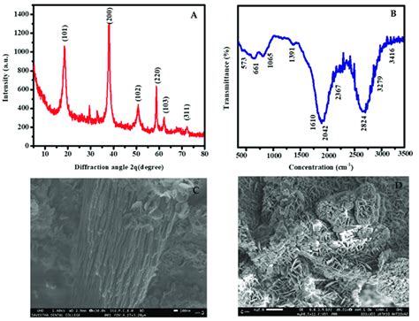 Characterization Of Mgo Nanoparticles A Xrd B Ftir Spectrum And