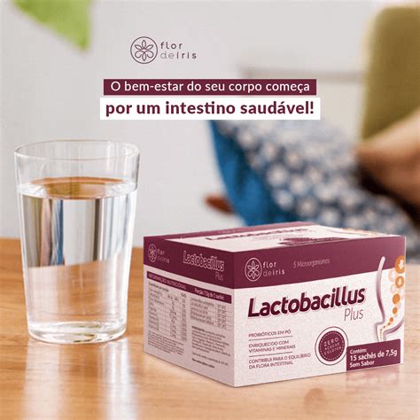 Lactobacillus Plus Mix De Pré E Probióticos Flor De Íris