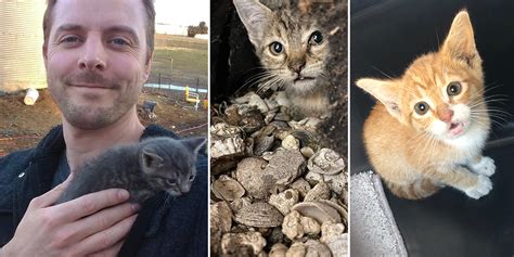 Cat Man Chris and Rescuers Save Abandoned Kittens, Ginny and Emmy