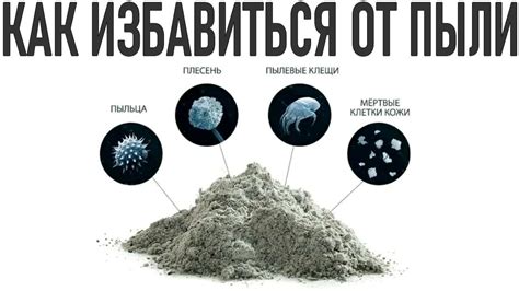 КАК ИЗБАВИТЬСЯ ОТ ПЫЛИ В ДОМЕ | Эффективные способы избежать вредной ...