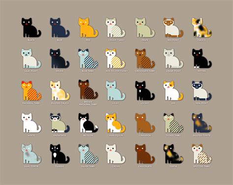 35 Cat Colors and Patterns Original Design Poster - Etsy