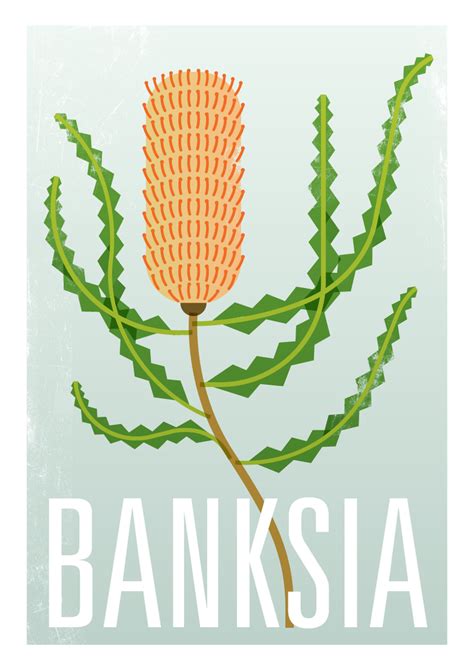 Banksia Fine Art Print– Ink & Spindle