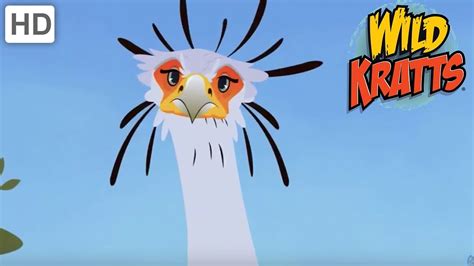 Wild Kratts Raptors The Hunter Birds Kids Videos Youtube