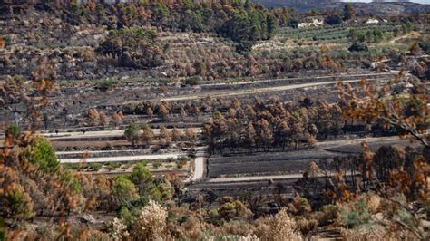 Incendios En Alicante La Generalitat Tramita Ayudas Para Los