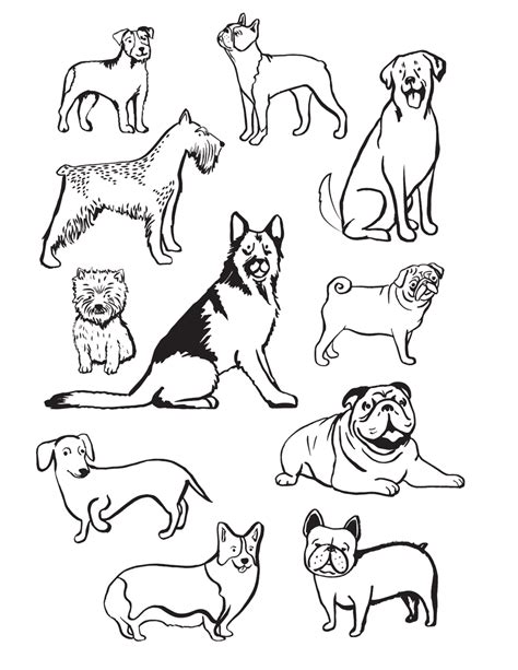 Coloring Pages Dog Breeds