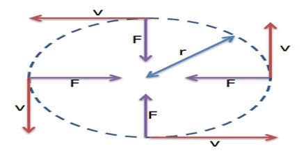 Uniform Circular Motion - QS Study