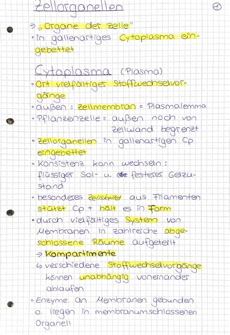 Zellbiologie Lernzettel Zellen Biologie Studocu