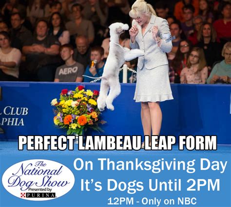 Thanksgiving with the National Dog Show - A Little Bit About a Lot of ...