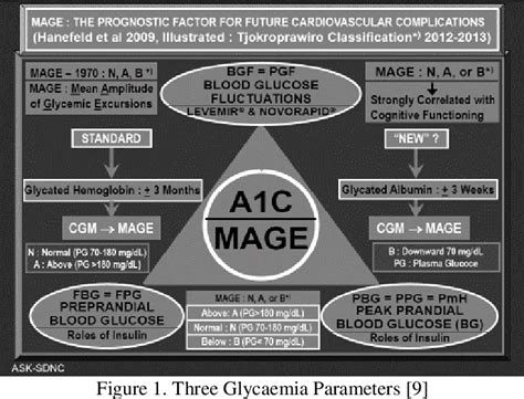 Figure 1 From Discrete Mean Amplitude Of Glycemic Excursion Mage