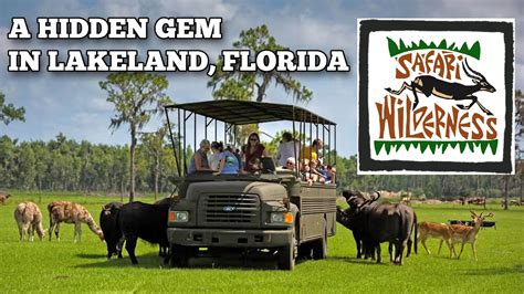 Explore Safari Wilderness Ranch Uncover A Hidden Gem In Lakeland Fl