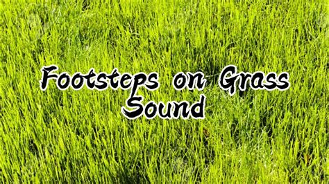 Sound Footsteps On Grass Youtube