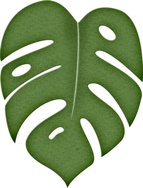 Leaves Clipart Green Tropical - Molde Costela De Adão - Png Download ...