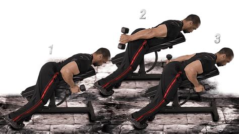 Triceps Kick Back 2 Dumbbell Incline Bench YouTube