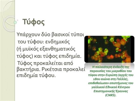 ανεμοβλογια | PPTX