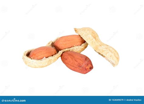 Peanuts Three Nut Kernels With Open Shell Isolated On White