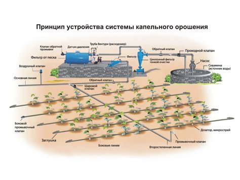 Расчеты по капельному орошения