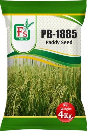 Hybrid Fame Seeds Paddy Seed Packaging Type Pp Bag Packaging Size 10 Kg At Rs 150 Kg In Hisar