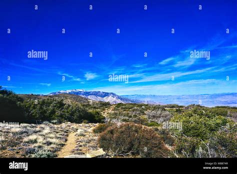 San Bernardino National Forest Stock Photo - Alamy