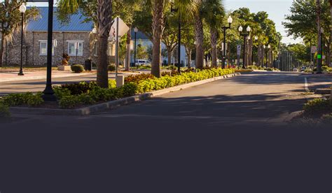 Dinner Zephyrhills at Neal Marquez blog