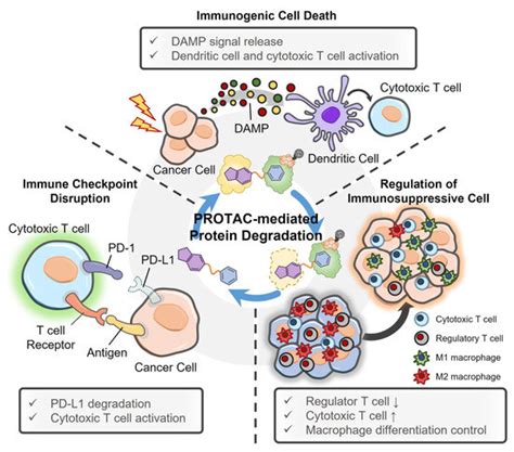 Pharmaceutics Free Full Text Cancer Specific Delivery Of