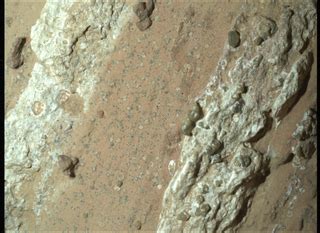 NASA's Perseverance Mars rover finds possible signs of ancient Red ...