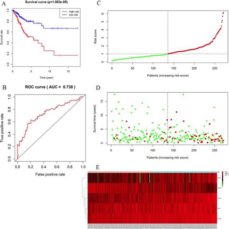 Survival Prognosis Model Of The 5 Hub Genes A Survival Analysis