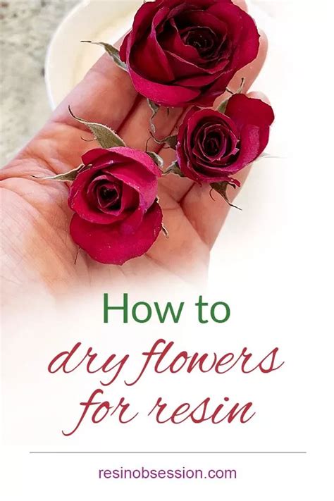 The Simplest Way How To Dry Flowers For Resin Resin Obsession