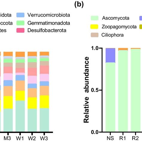 Pcoa Of Braycurtis Dissimilarities Of Bacterial A And Fungal B