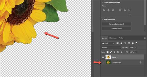 How to Make Custom Stickers in Photoshop (8 Steps)