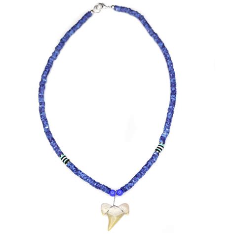 Blue Shark - Fossil Shark Tooth Necklace – Charming Shark Retail