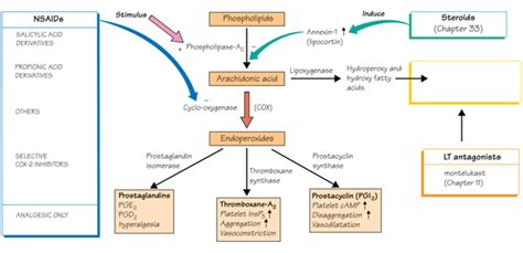 Mechanism Of Action Of Nsaids - NSAIDs mechanism of action and natural products (Ginko ... - The ...