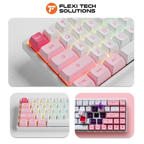 AKKO Prunus Lannesiana 3068B Plus Fully Assembled Multi Mode Wireless Hot Swap Keyboard Flexi Tech
