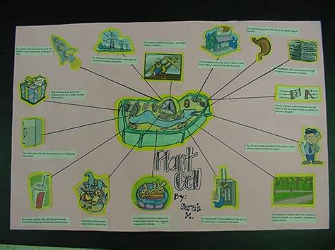 Mr Mohn S Biology Home Turf Cell Analogies Collage Project Cell Biology Science Biology