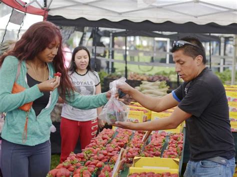 News Break Solano Harvest Bounty On Display At Farmers Markets