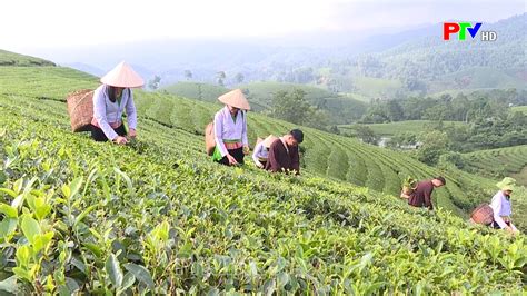 nam danh xung thanh son dai phat thanh va truyen hinh phu tho