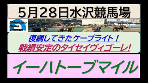 【競馬予想】イーハトーブマイル 水沢3歳重賞！～2023年5月28日水沢競馬場 ：5－41 Youtube