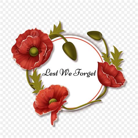 Remembrance Sunday Papaver Rhoeas Round Floral Winding Border Papaver