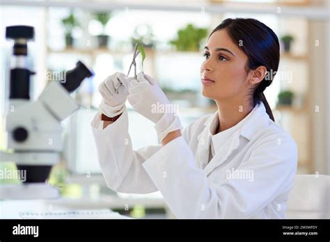 All About Botany A Young Scientist Working With Plant Samples In A Lab