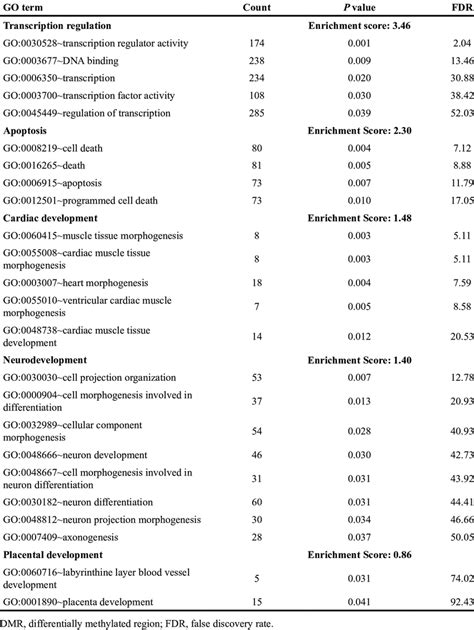 Functional clusters for DMR associated genes | Download Table 