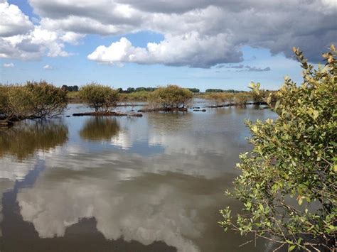 Tourbière de Baupte dans la Manche la superficie concernée par la